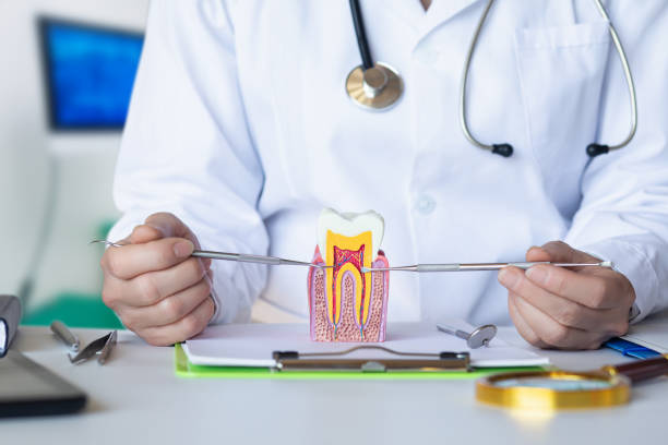 Best Weekend Emergency Dentist in Josephine, TX